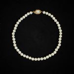 589343 Pearl necklace